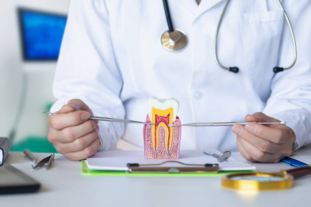 Best Emergency Broken Tooth Repair in La Harpe, IL